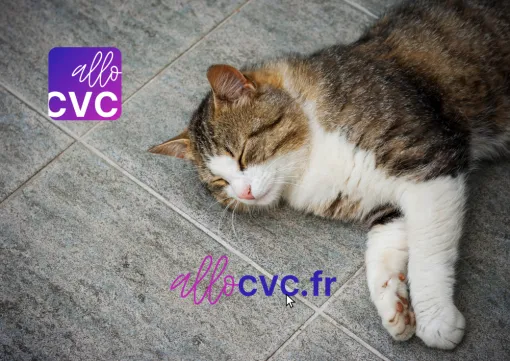 Quand le carrelage devient la clim, adoptez le bon reflexe: alloCVC, Nice, ALLO CVC